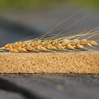 Шесть сельскохозяйственных кооперативов создадут в Тульской области в 2017 году