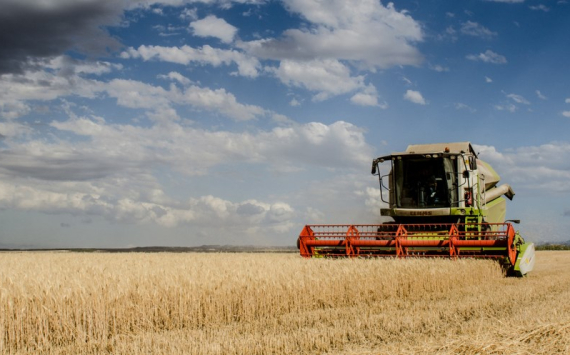 В Тульской области на солярку для аграриев потратили 100 млн рублей