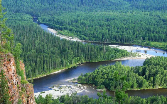 ВТБ расширил географию восстановления российских лесов