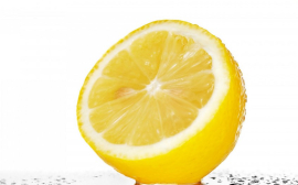 В Тульской области запустят завод по производству лимонной кислоты