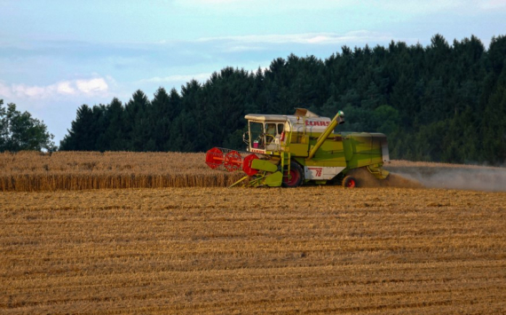 В Тульской области непогода нанесла аграриям ущерб в размере 286 млн рублей