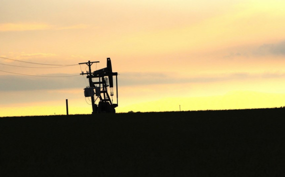Дюмин: Нефтегазовая отрасль стала надежной опорой экономики Тульской области