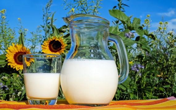 В Туле молоко в июле подешевело до 47,18 рублей