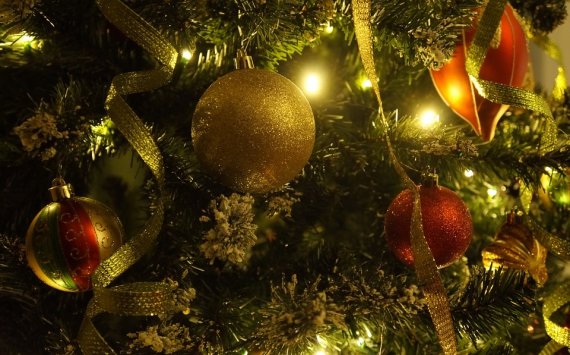 В Туле установят и украсят новогоднюю ель за 7,3 млн рублей
